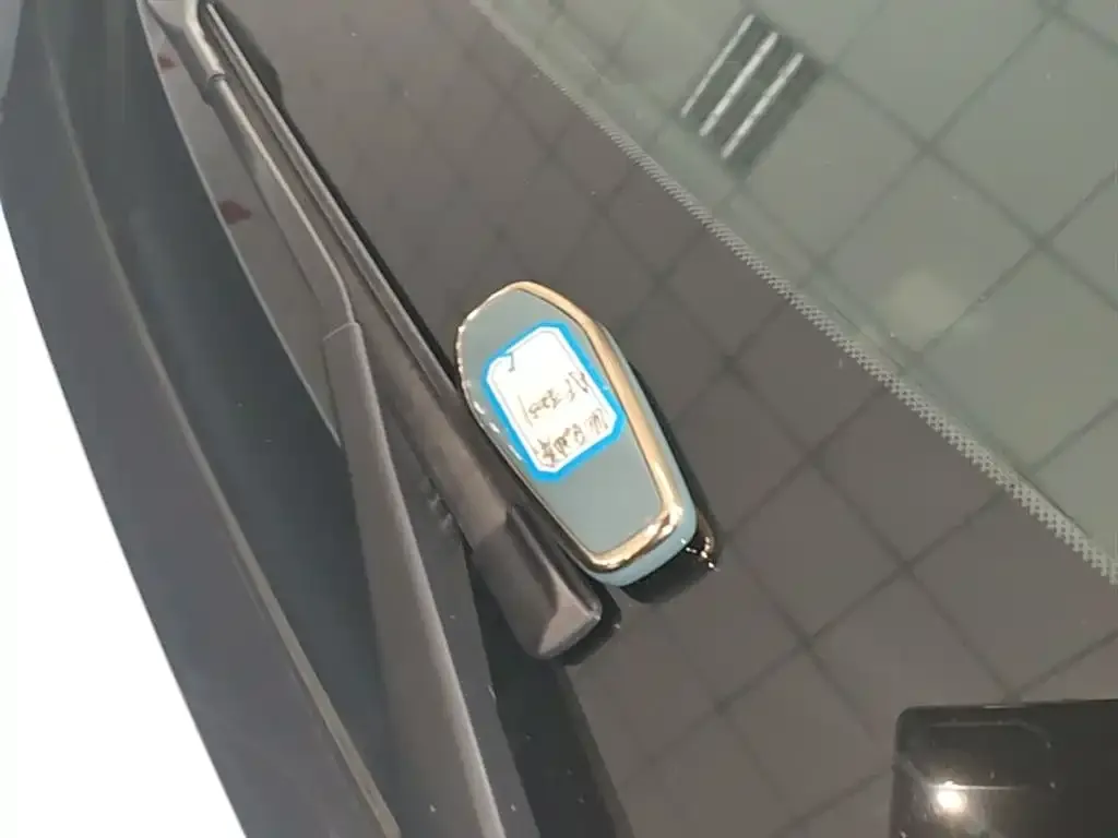 BYD Qin L 2024 из CN, фото 6