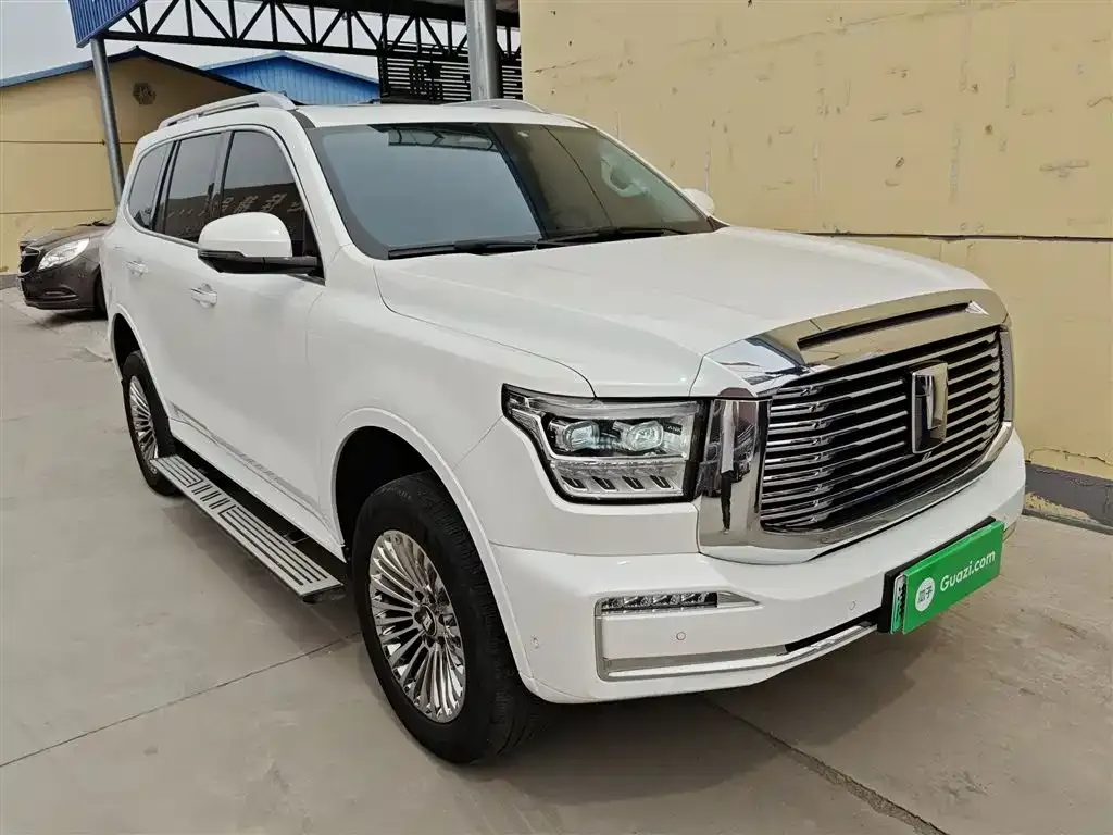 Tank 500 New Energy 2024 из CN, фото 8