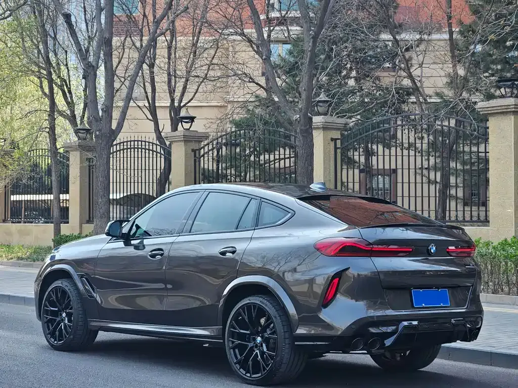 BMW X6 M 2023 из CN, фото 9