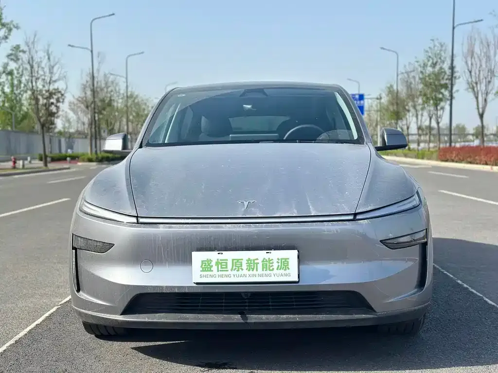 Tesla Model Y — фото 10