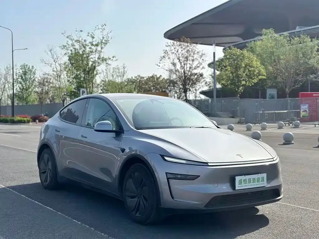 Tesla Model Y — фото 5
