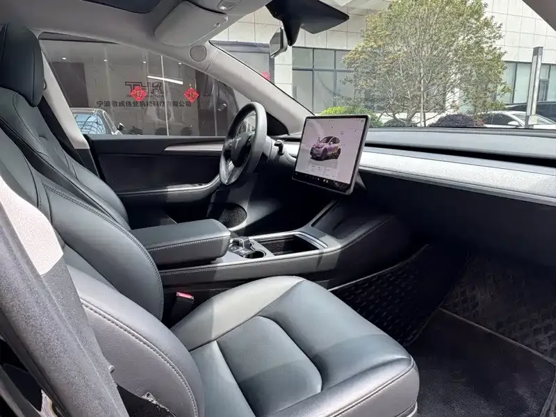 Tesla Model Y 2023 из CN, фото 6