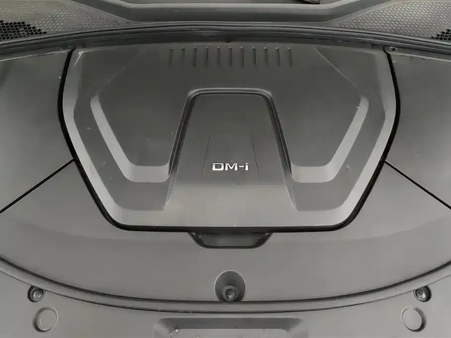 BYD PLUS New Energy — фото 3