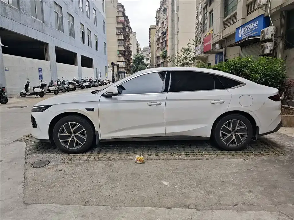 BYD Qin L — фото 6
