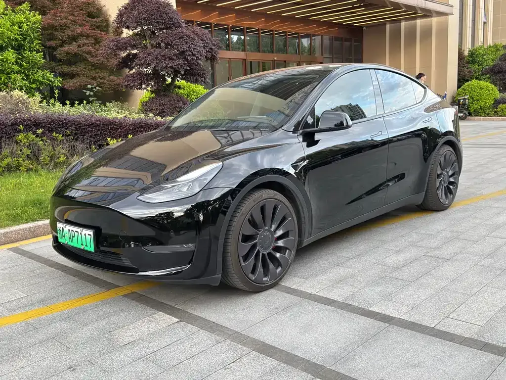 Tesla Model Y — фото 1