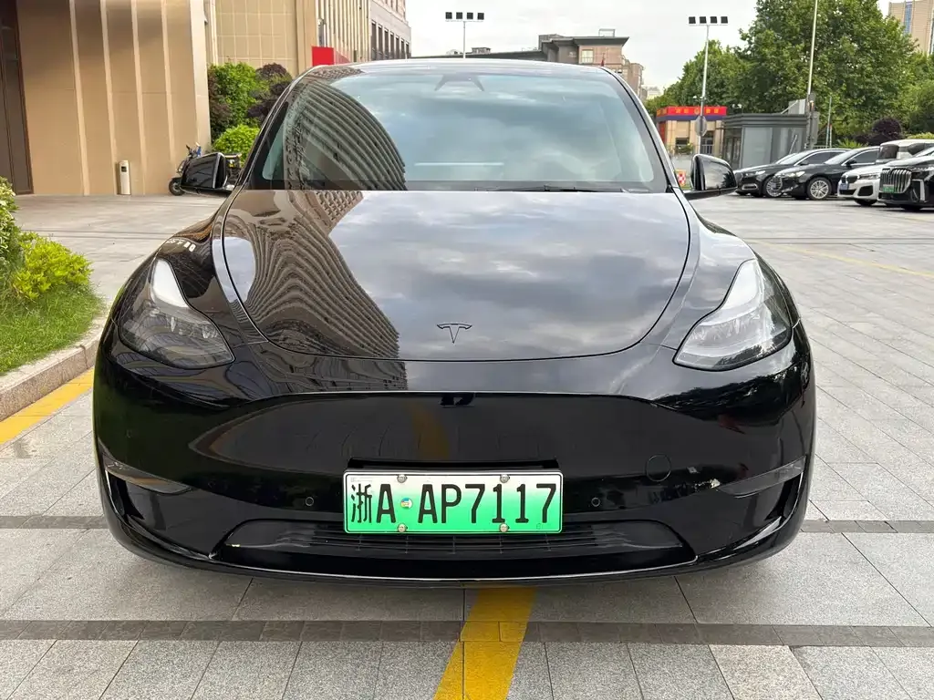 Tesla Model Y — фото 8