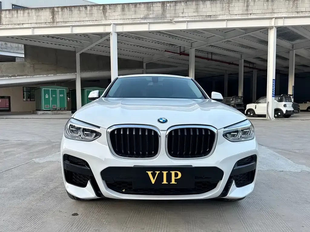 BMW X4 2021 из CN, фото 3