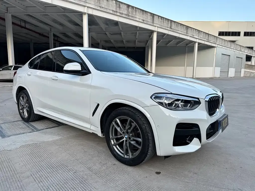 BMW X4 2021 из CN, фото 9