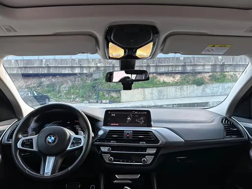BMW X4 2021 из CN, фото 7