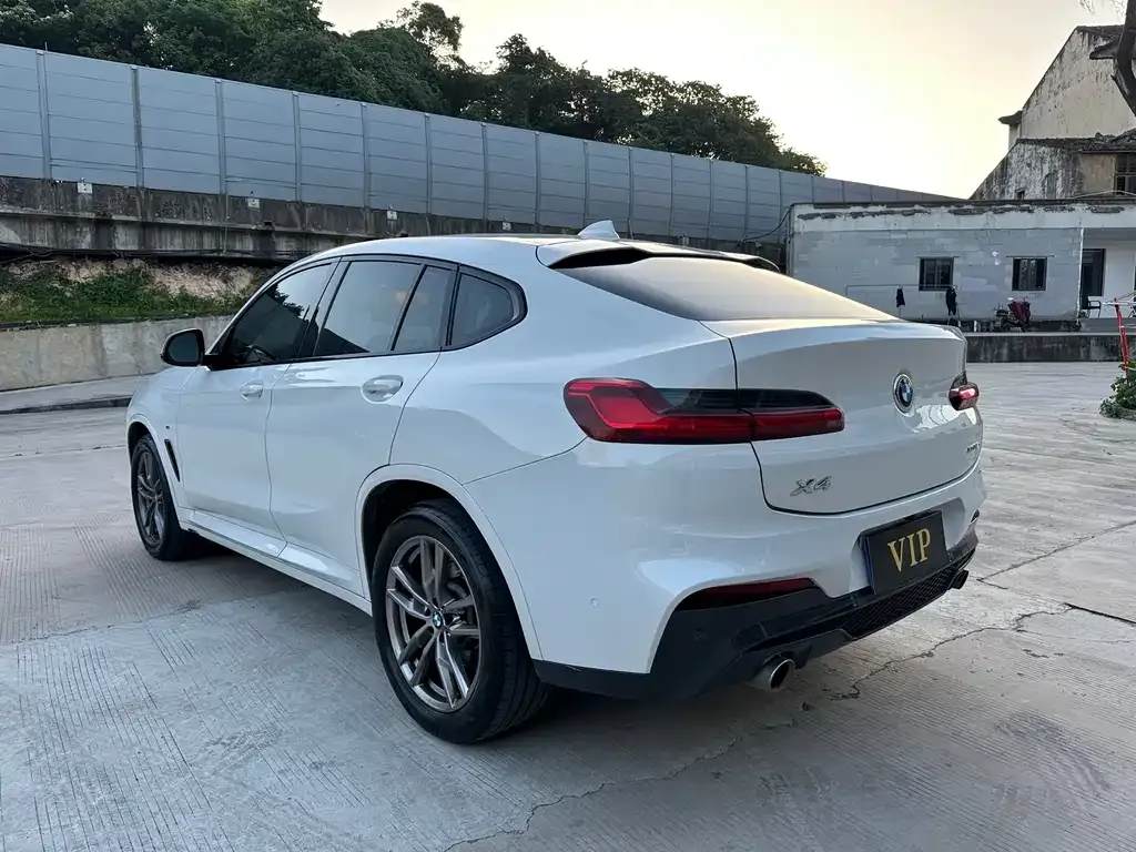 BMW X4 2021 из CN, фото 8
