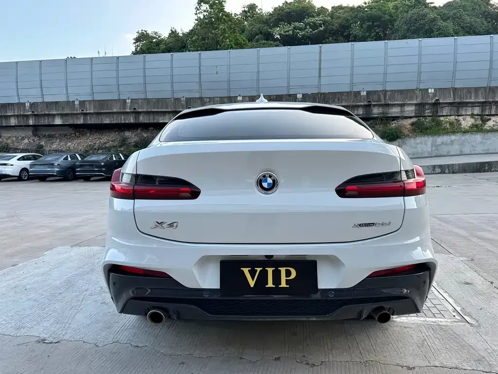 BMW X4 2021 из CN, фото 6