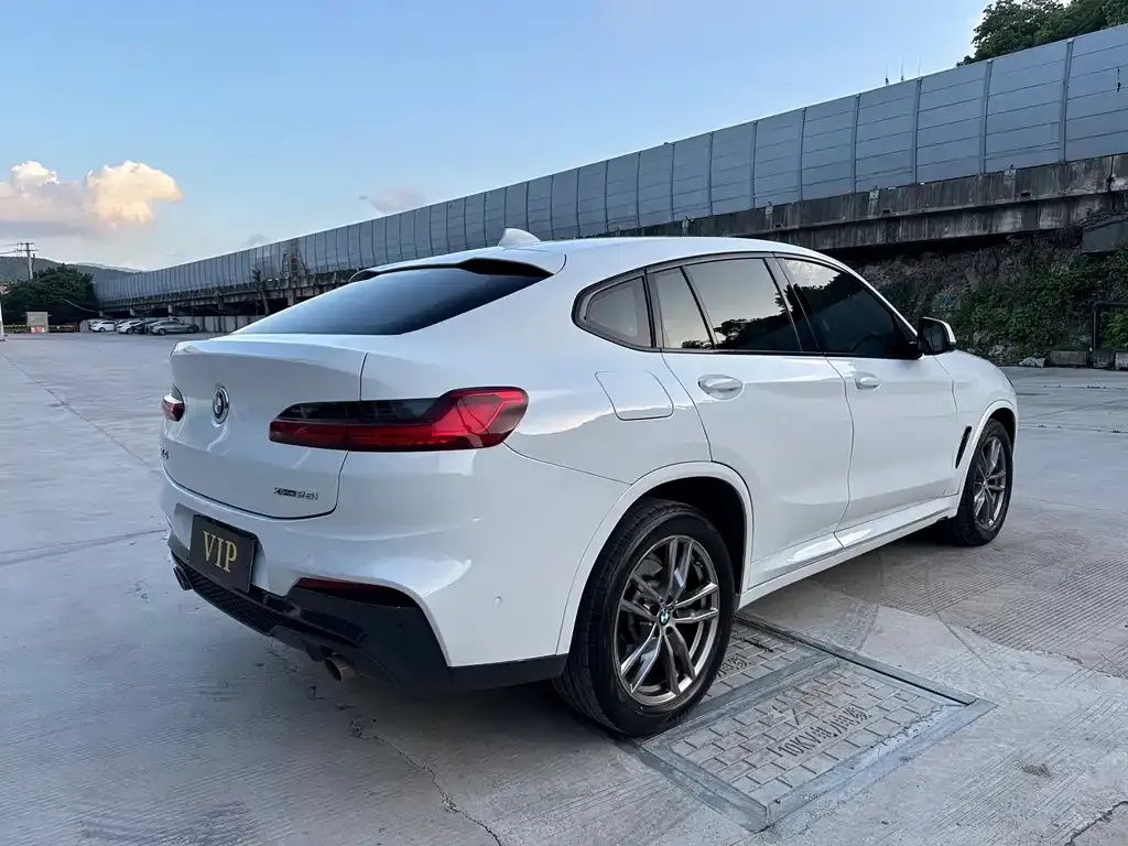 BMW X4 2021 из CN, фото 4