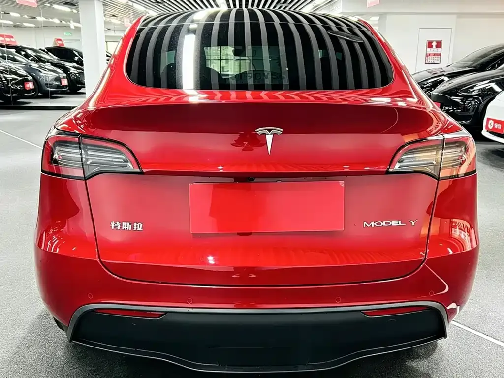 Tesla Model Y — фото 8
