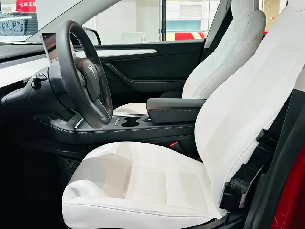 Tesla Model Y — фото 5