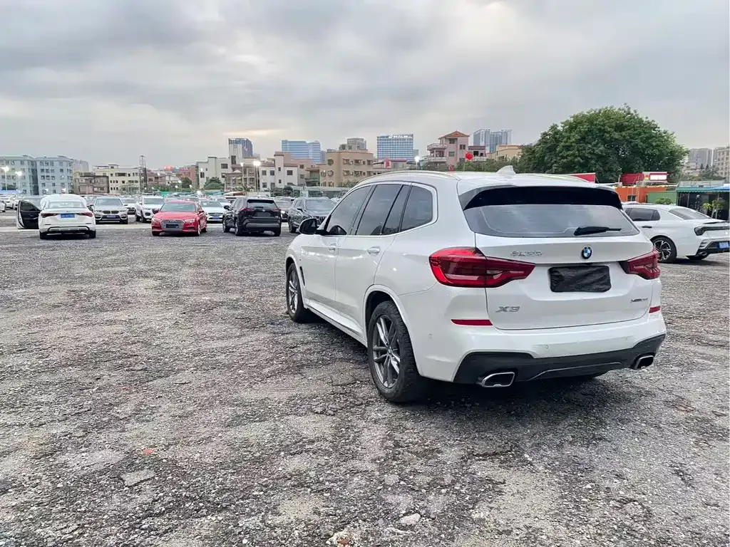 BMW X3 2021 из CN, фото 10