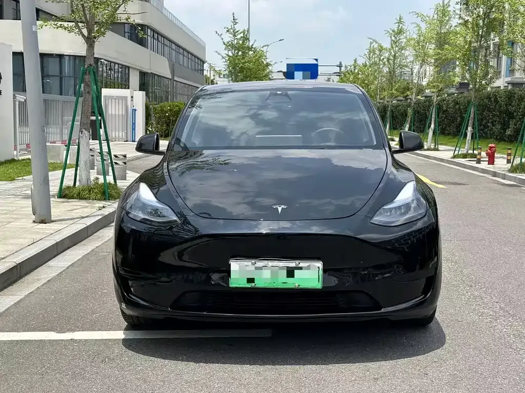 Tesla Model Y — фото 8