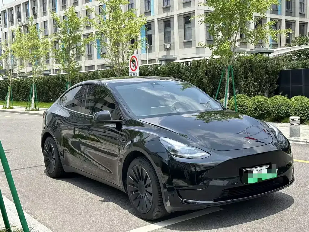 Tesla Model Y — фото 10