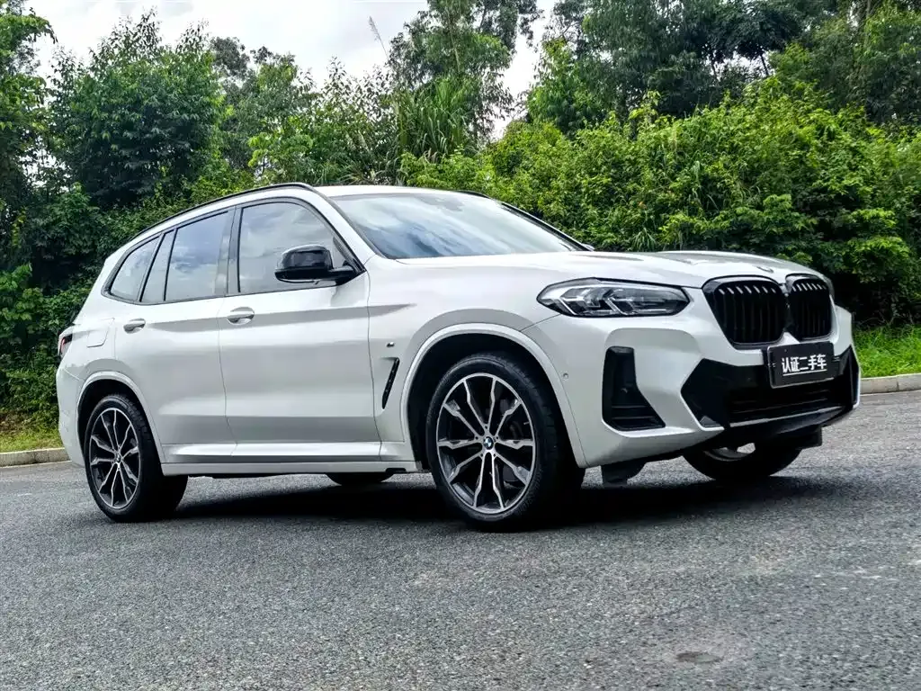 BMW X3 2022 из CN, фото 10