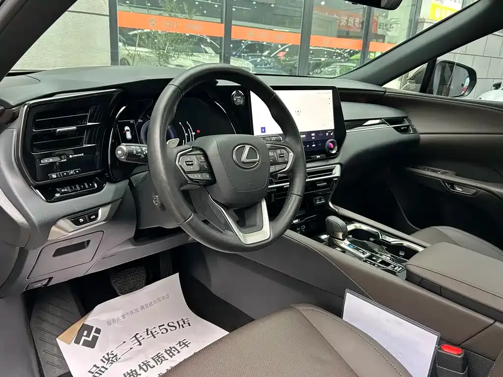 Lexus RX — фото 10