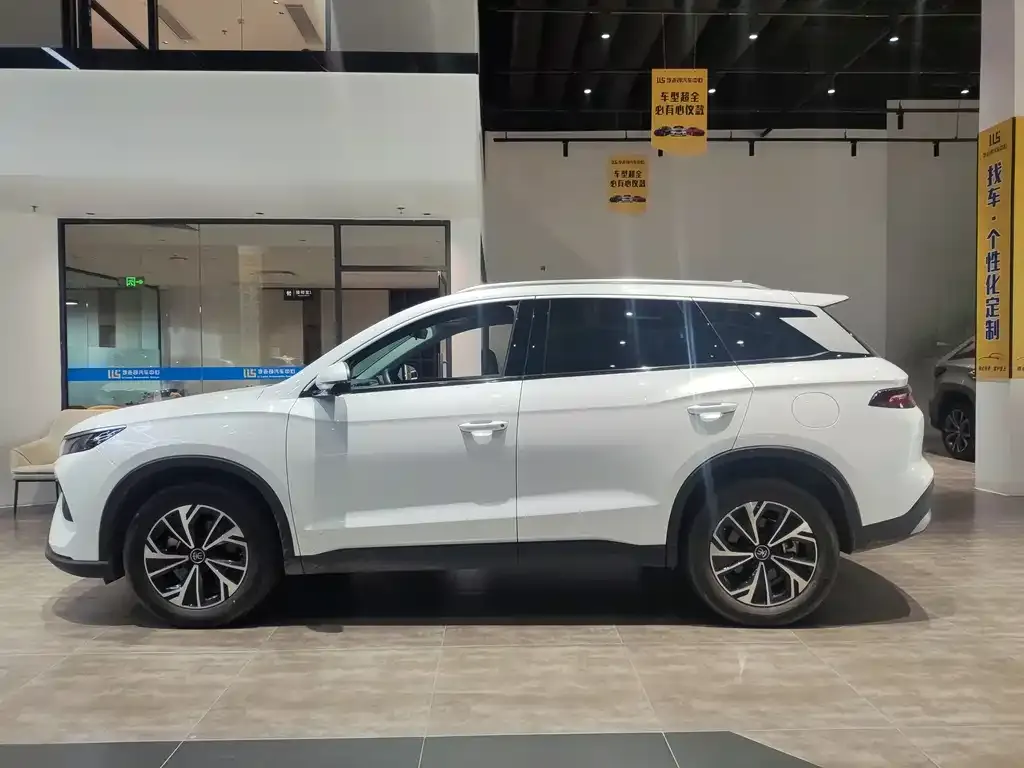 BYD Pro New Energy — фото 7