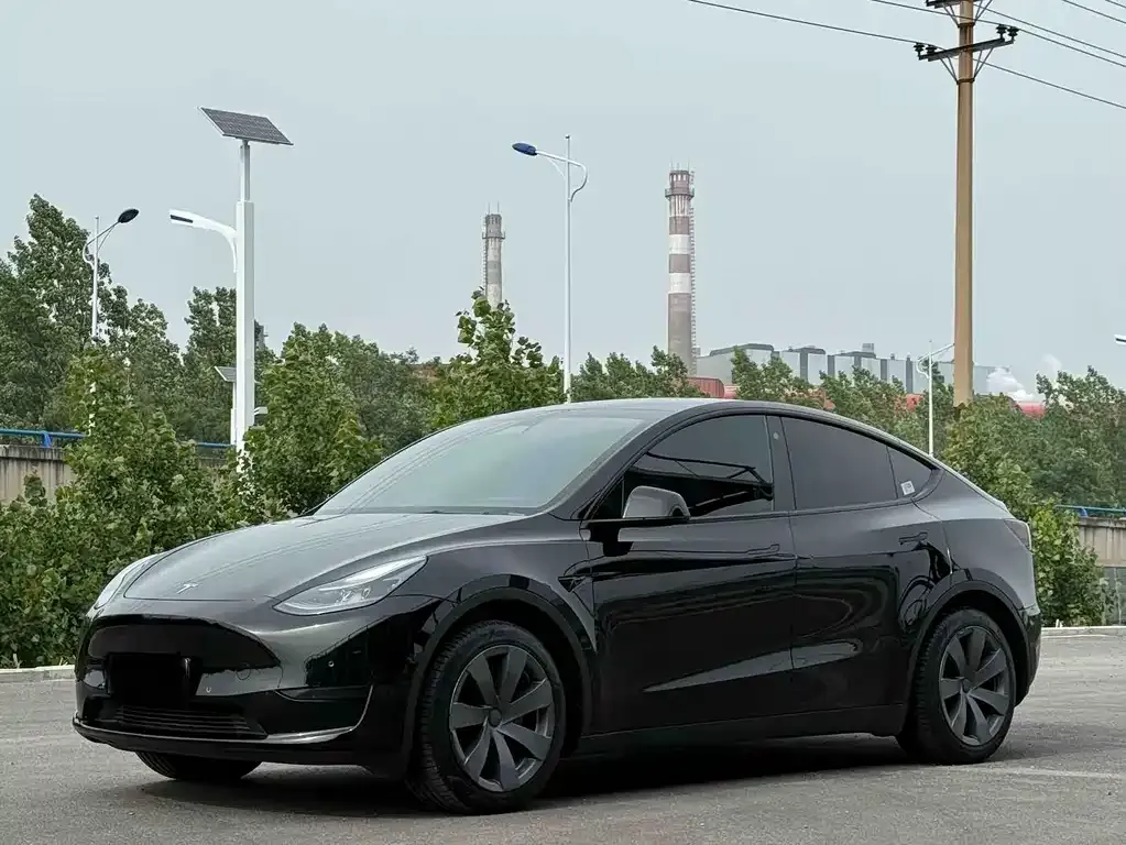 Tesla Model Y — фото 1
