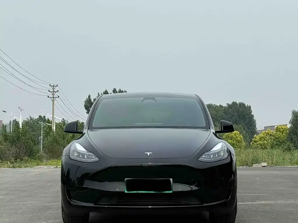 Tesla Model Y — фото 2