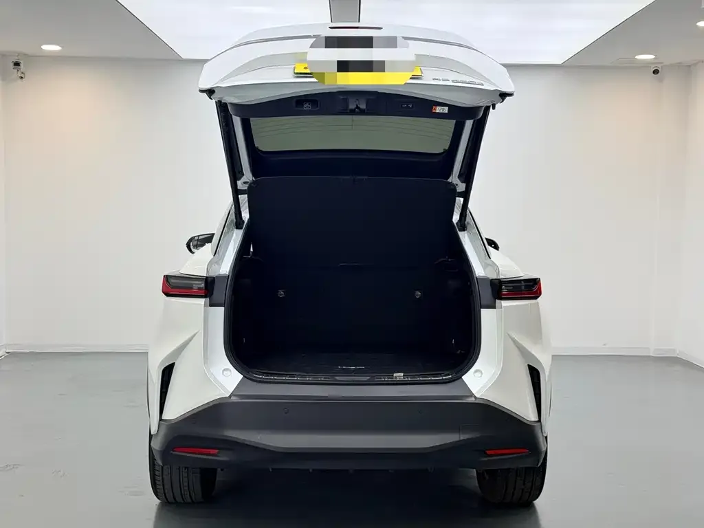 Lexus RZ 2023 из CN, фото 6