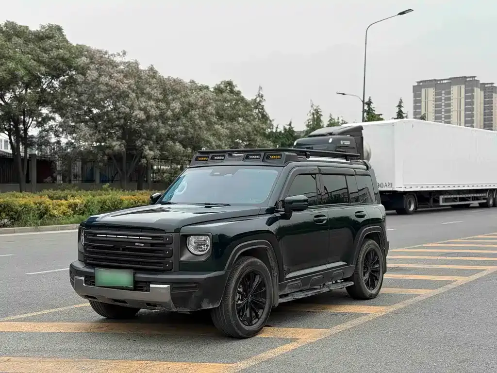 Haval Menglong New Energy — фото 1