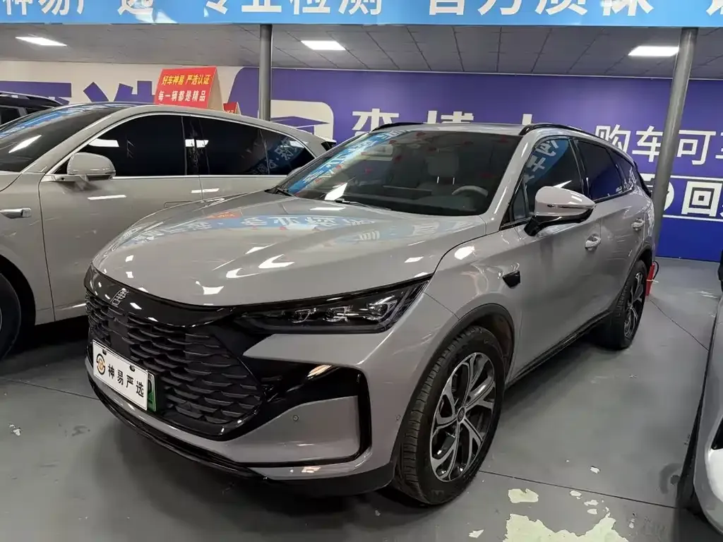 BYD Tang New Energy — фото 1