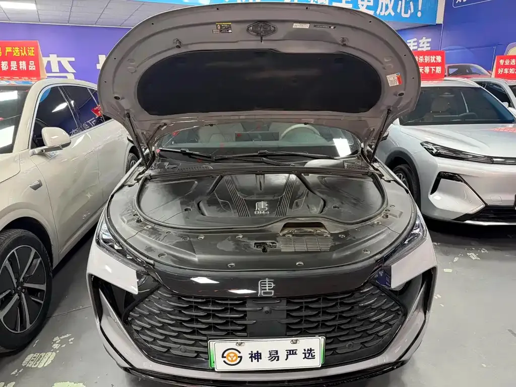 BYD Tang New Energy — фото 4