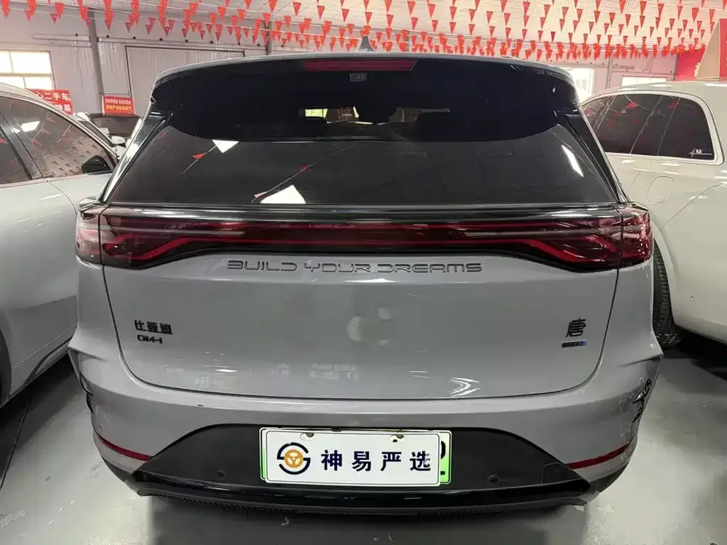 BYD Tang New Energy — фото 10