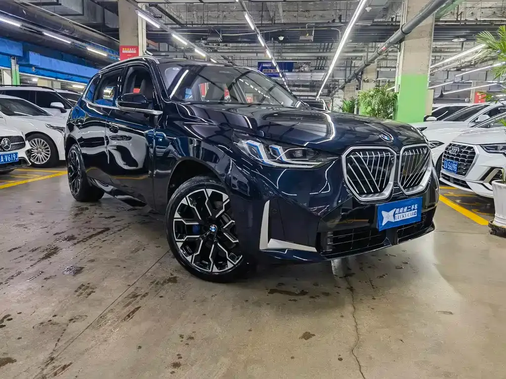 BMW X3 — фото 10