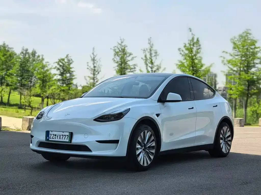 Tesla Model Y — фото 1
