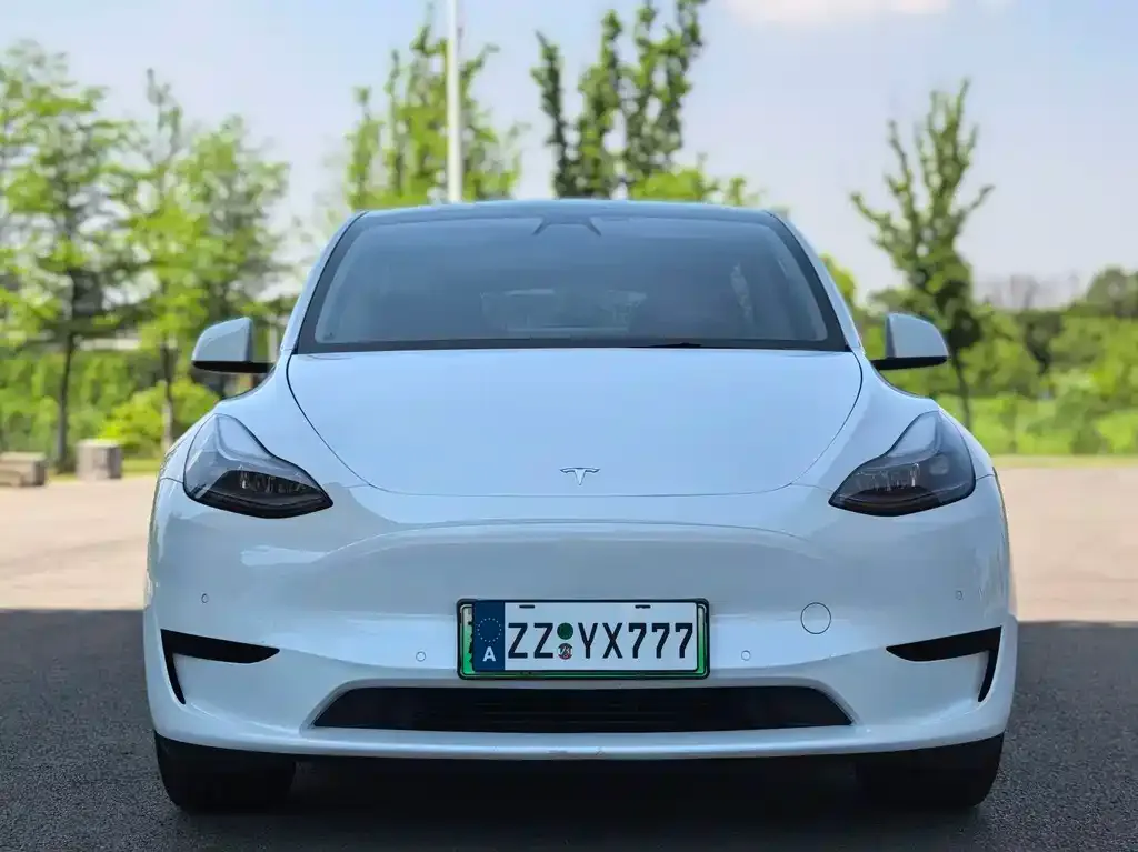 Tesla Model Y — фото 8