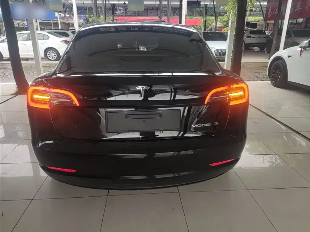 Tesla Model 3 2023 из CN, фото 5