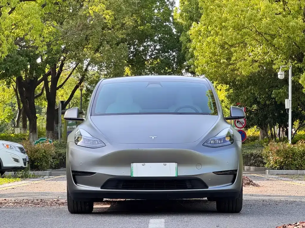 Tesla Model Y — фото 10