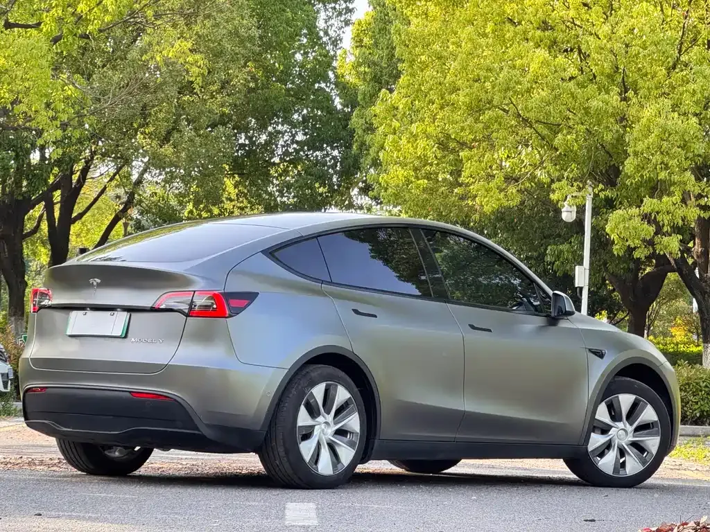 Tesla Model Y — фото 2