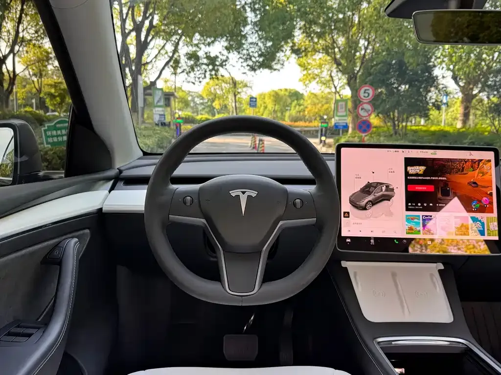 Tesla Model Y — фото 9