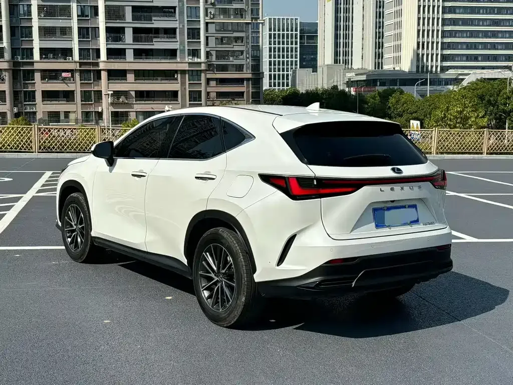 Lexus NX — фото 8