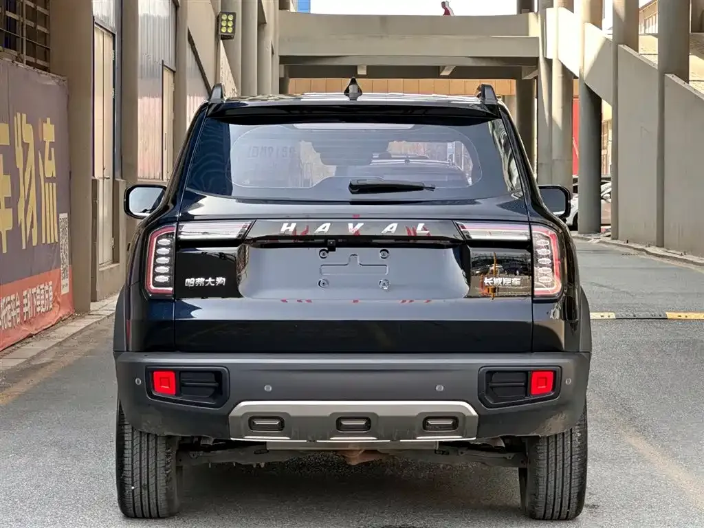 Haval Big Dog 2022 из CN, фото 6