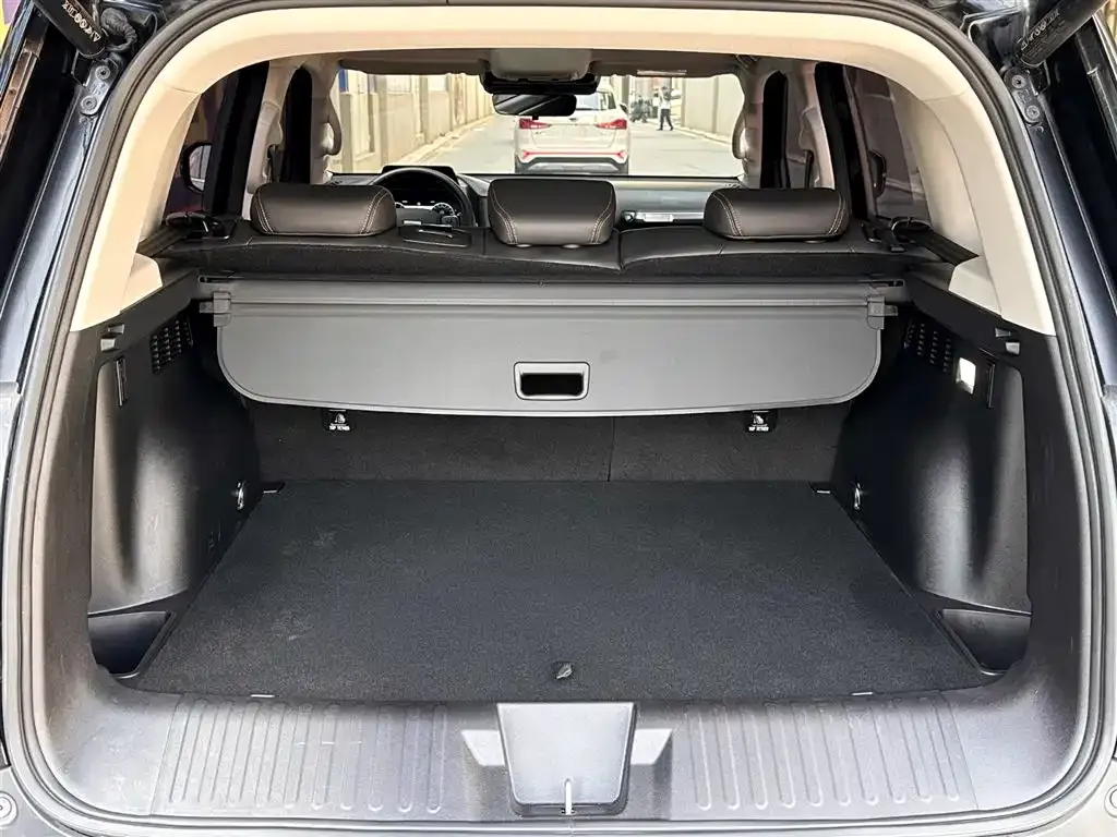 Haval Big Dog 2022 из CN, фото 4