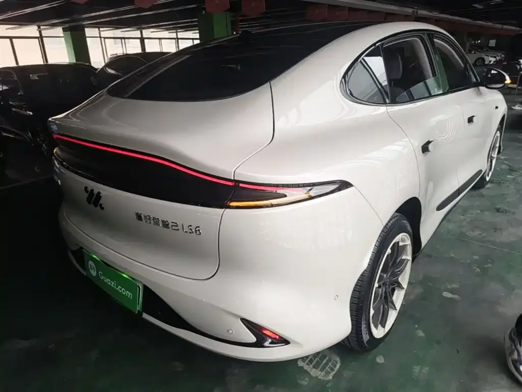IM LS6 2024 из CN, фото 4