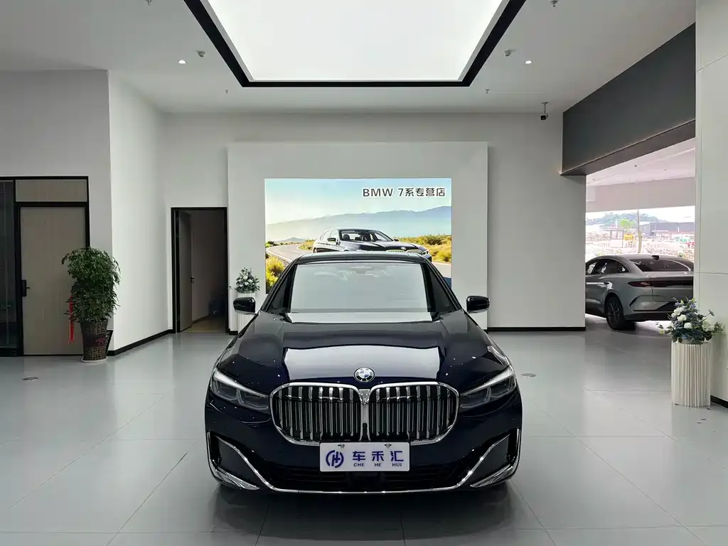 BMW 7 Series 2021 из CN, фото 7