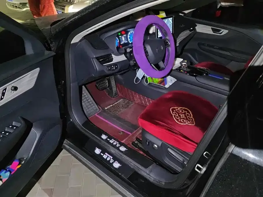 Hongqi E-QM5 2023 из CN, фото 9