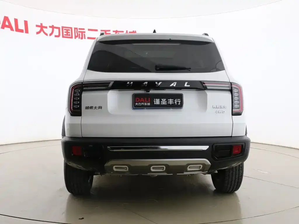 Haval Big Dog 2023 из CN, фото 5