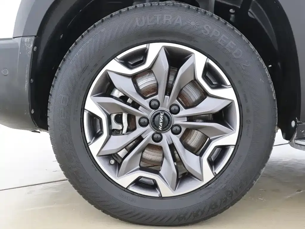 Haval Big Dog 2023 из CN, фото 9