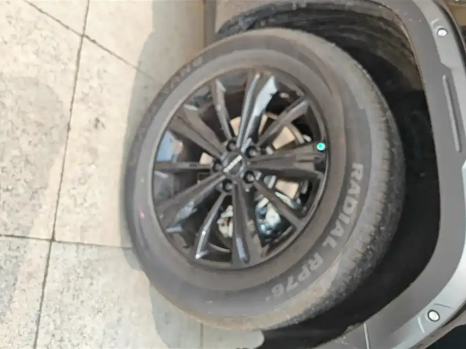 Haval Raptor 2025 из CN, фото 2