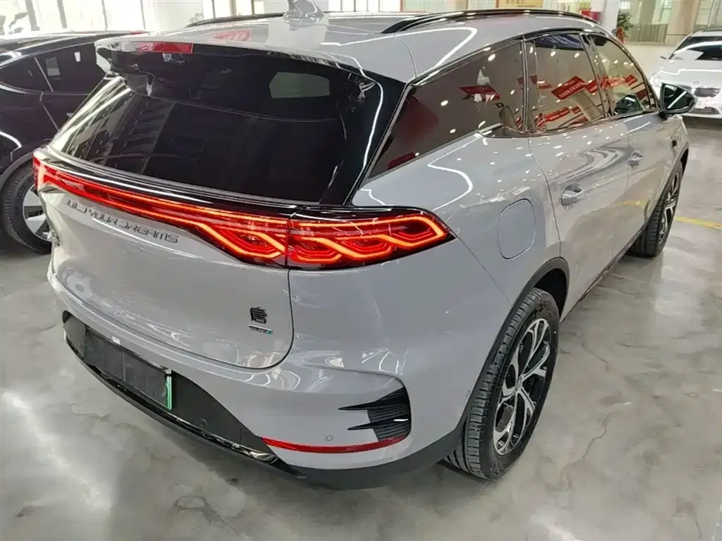 BYD Tang New Energy — фото 10