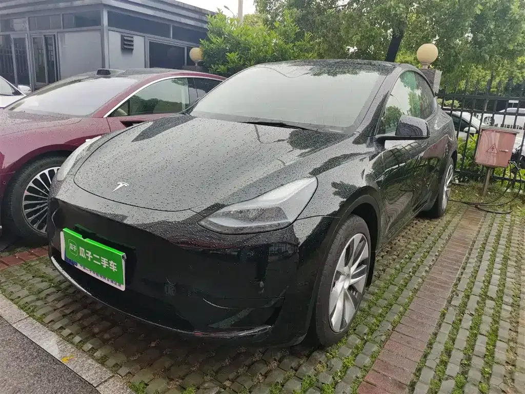 Tesla Model Y — фото 10