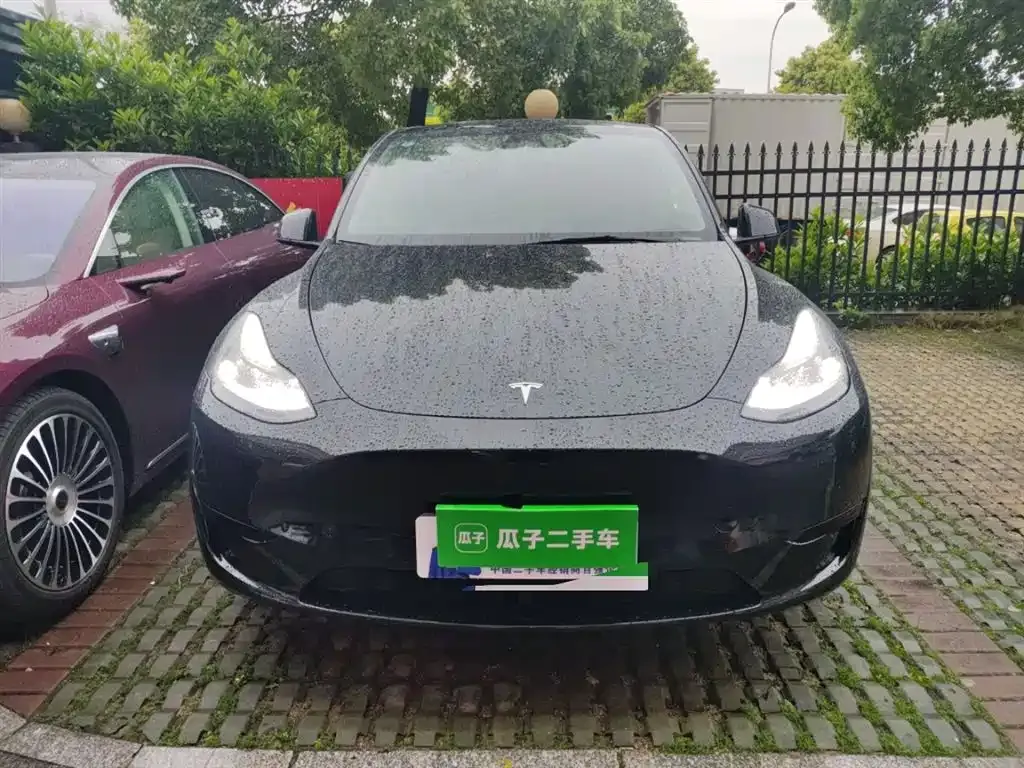 Tesla Model Y — фото 2